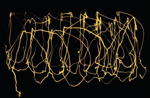 2002 Be Visible Stitch Attractors']}